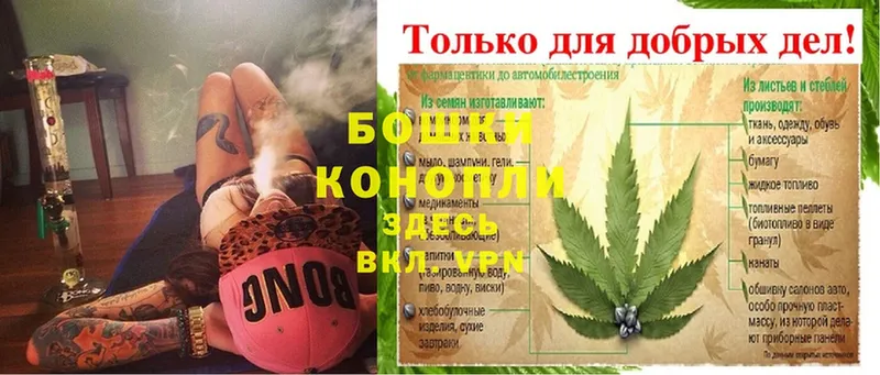 Каннабис THC 21%  купить закладку  Бабаево 